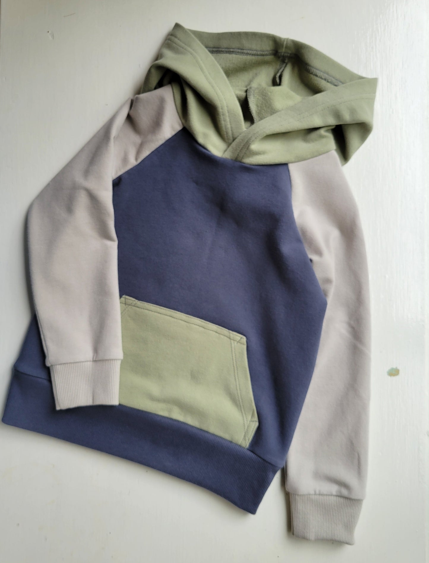 Kids Colorblock hoodies - Homeland Harvest