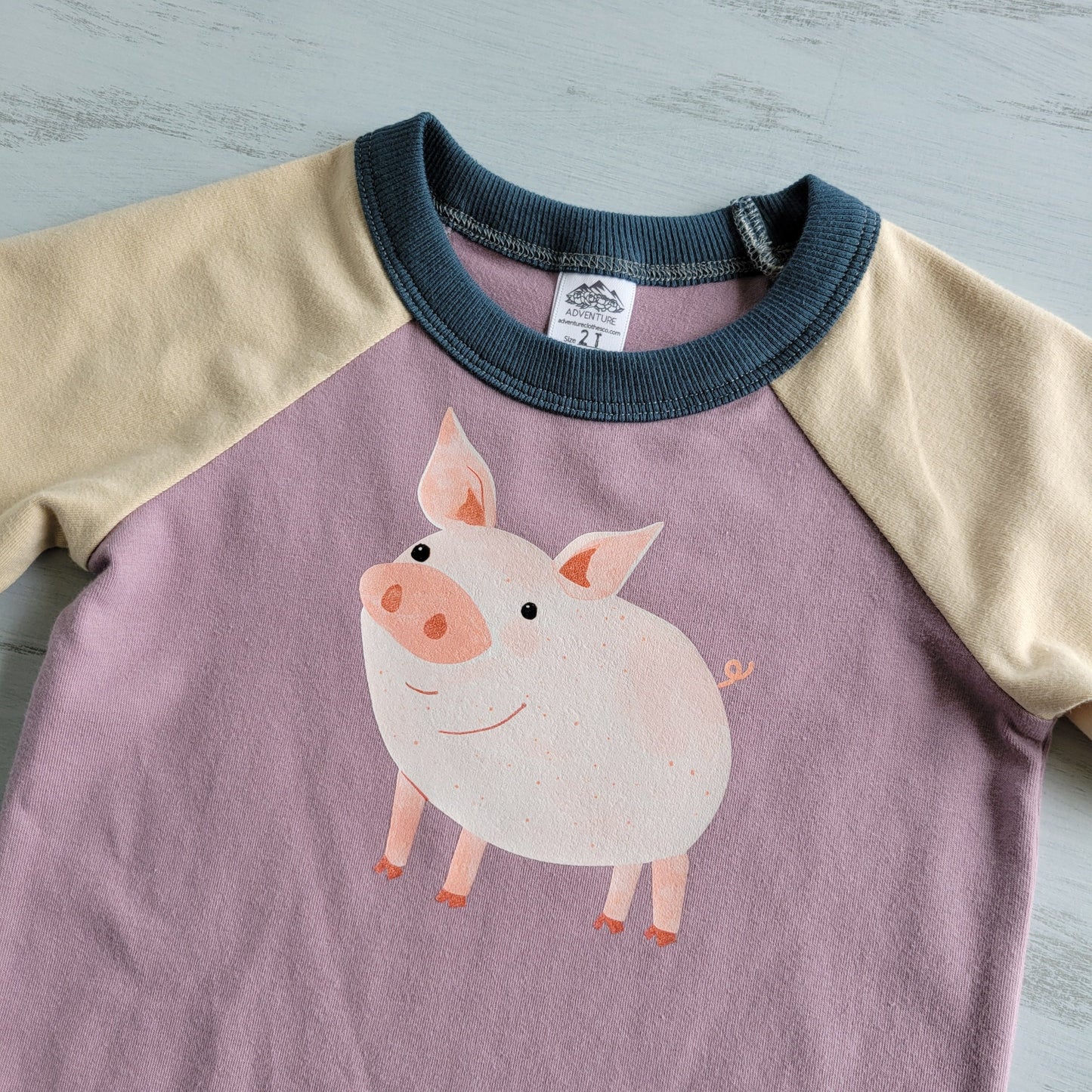 Purple - Kids Animals Tshirt - Organic American made Cotton - Homeland Harvest