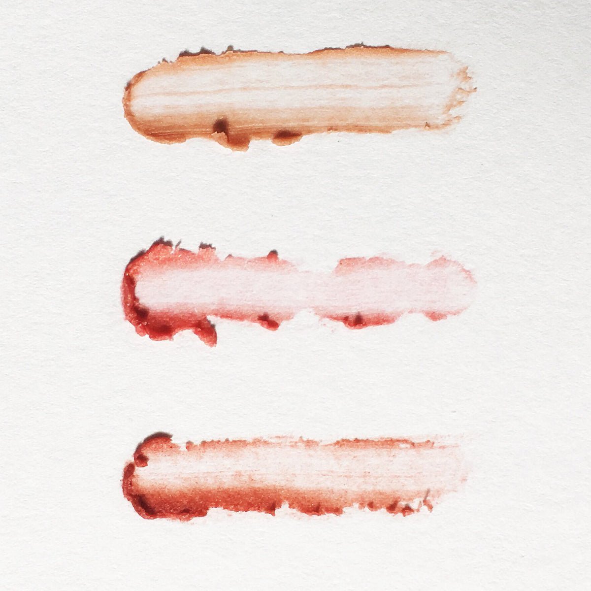 Set of 3 Tinted Vegan Lip Balms - Homeland Harvest