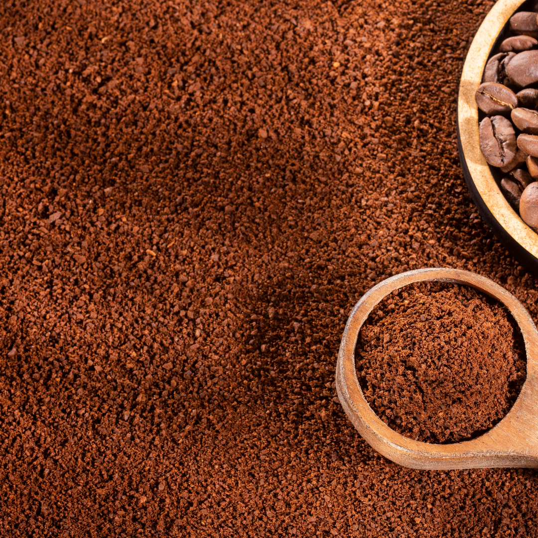 RAINFOREST | ESPRESSO BLEND - Homeland Harvest