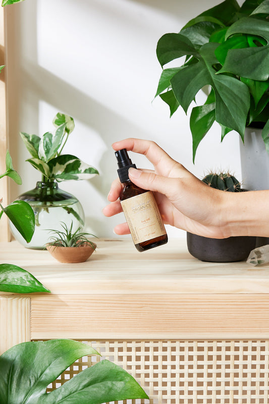 Organic Bug Spray / Mosquito Repellant / - Homeland Harvest