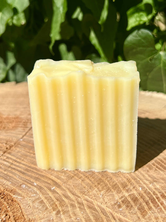 Coconut Olive Tallow Soap - Unscented - Homeland Harvest