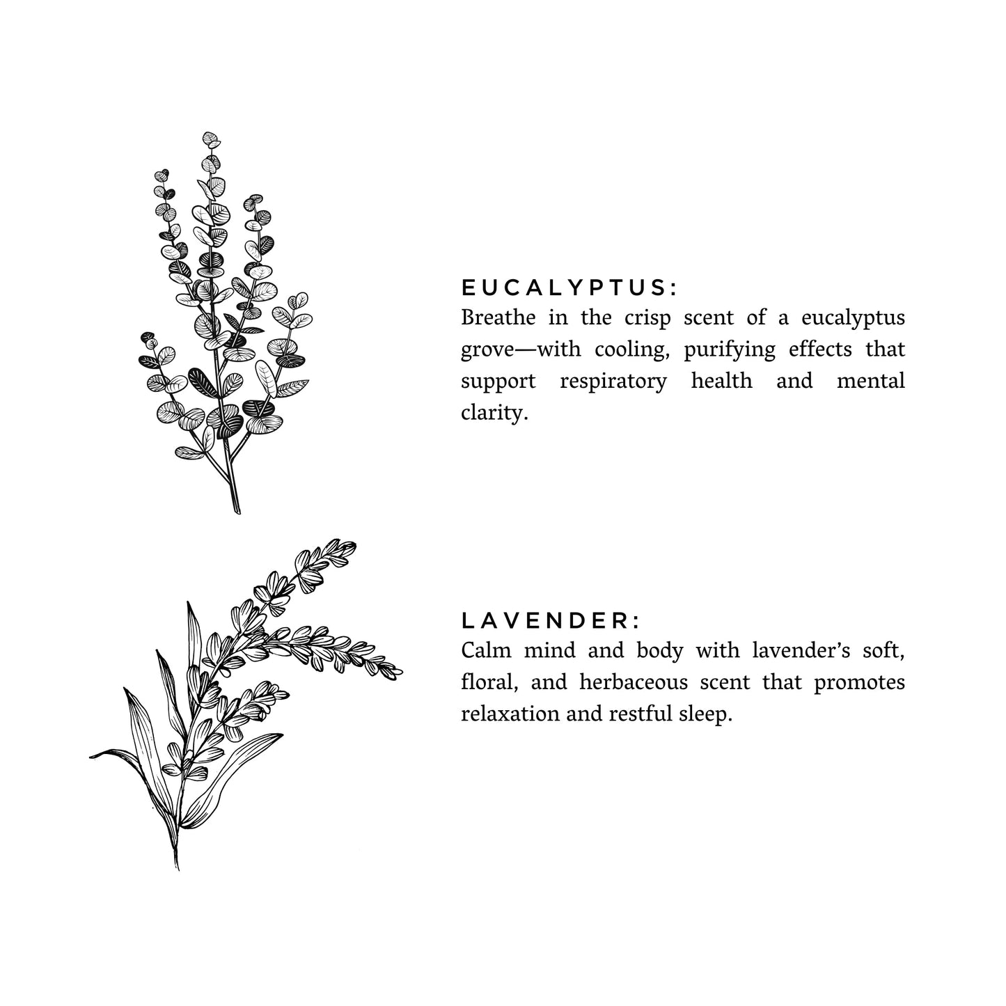 Laundry Powder - Eucalyptus + Lavender - Homeland Harvest