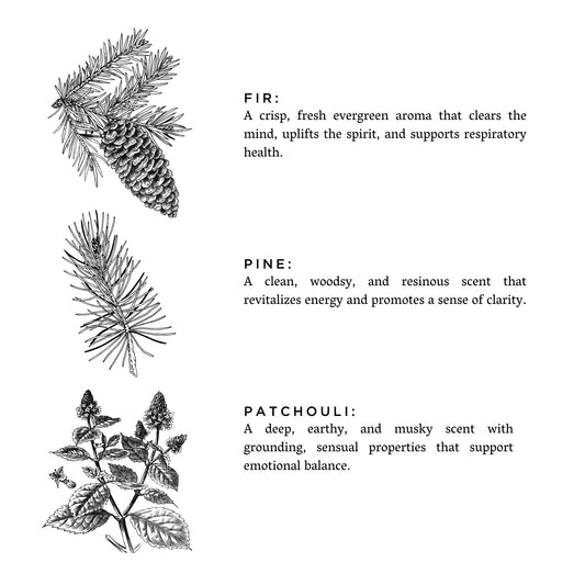 Forest Bathing - Signature Candle (Fir + Pine + Patchouli) - Homeland Harvest