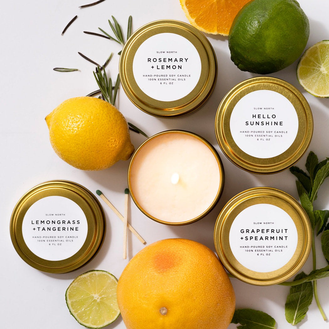 Fresh Collection - 4 Pack - Homeland Harvest