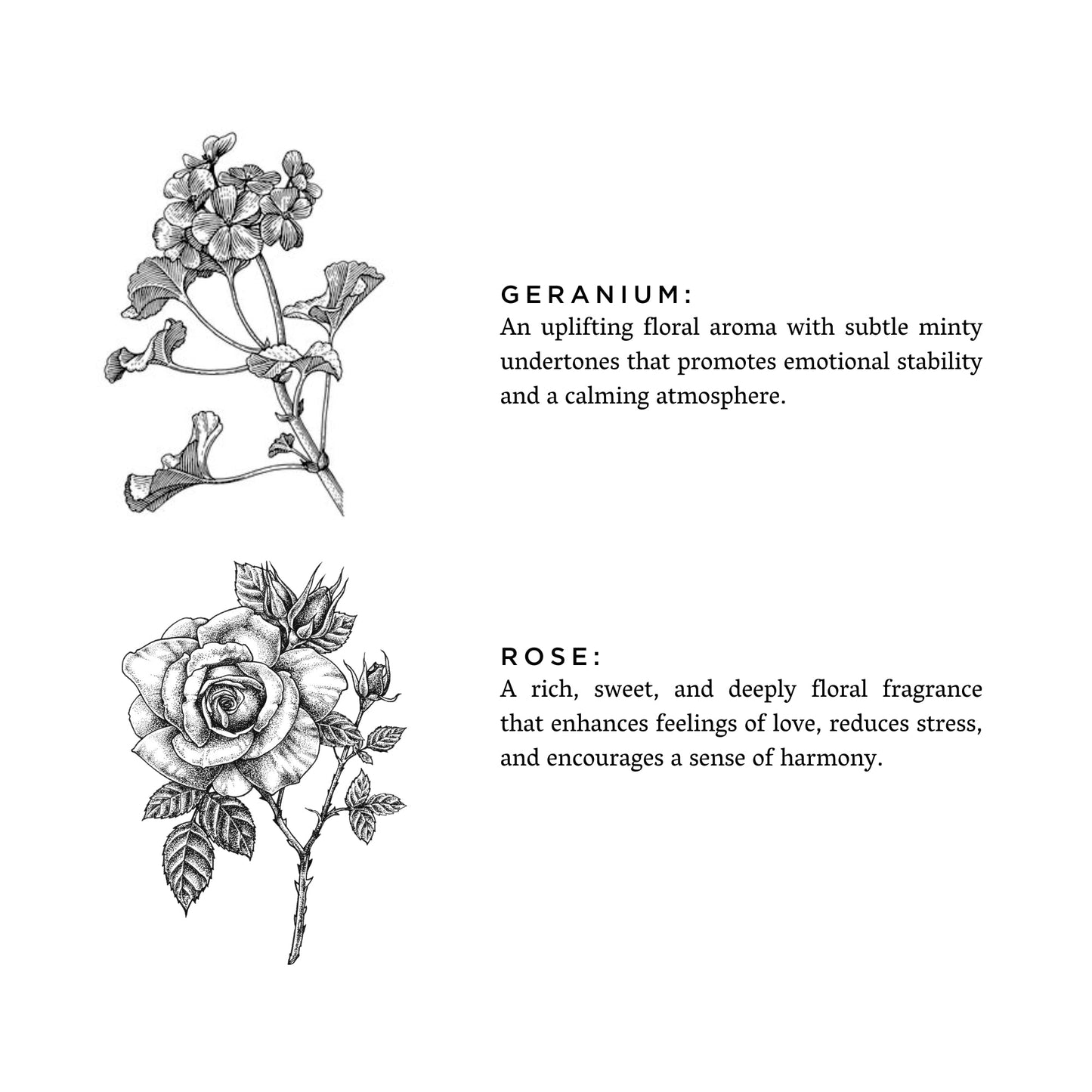 Geranium + Rose - Signature Candle - Homeland Harvest