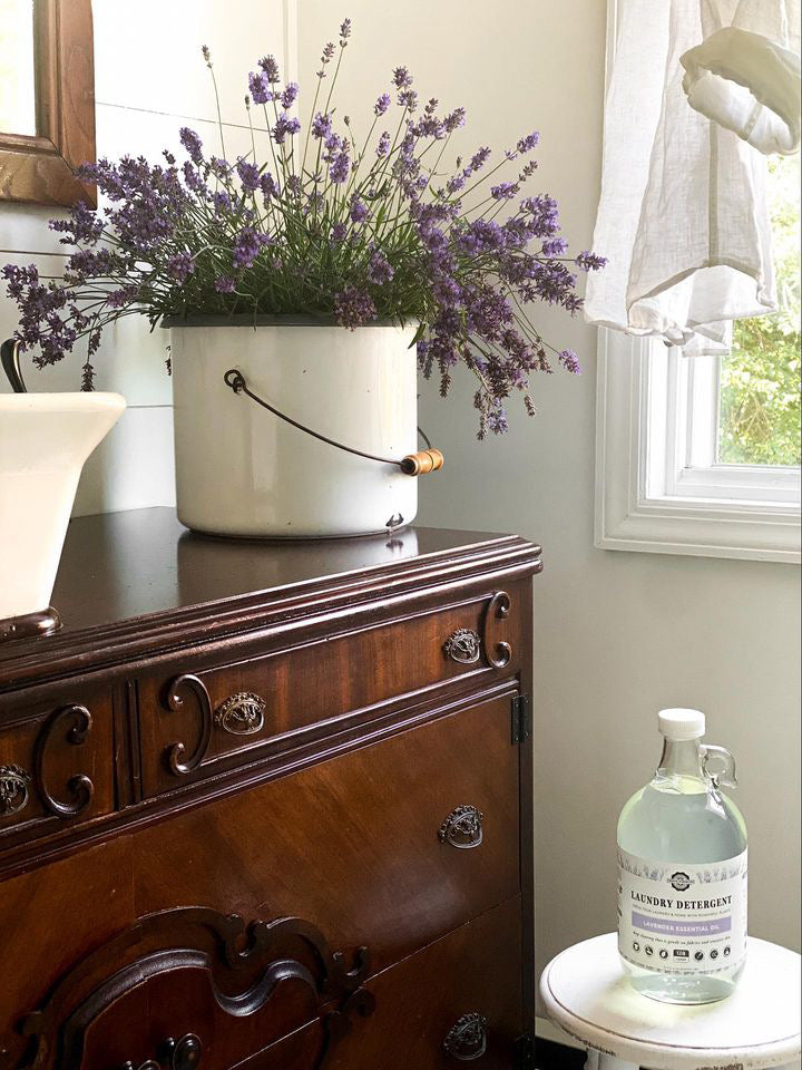 Laundry Detergent | Unscented - Homeland Harvest