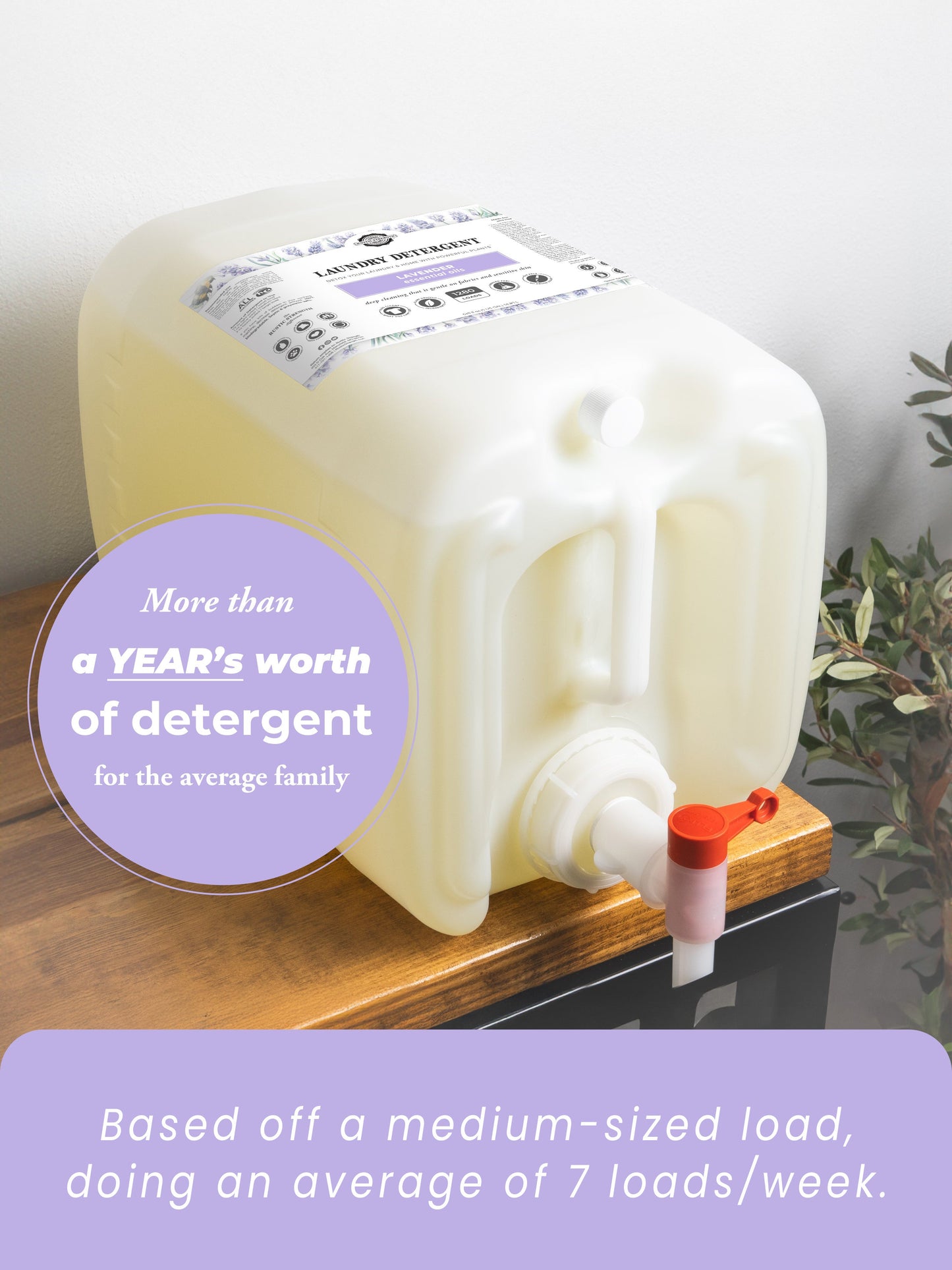 Laundry Detergent | Lavender - Homeland Harvest