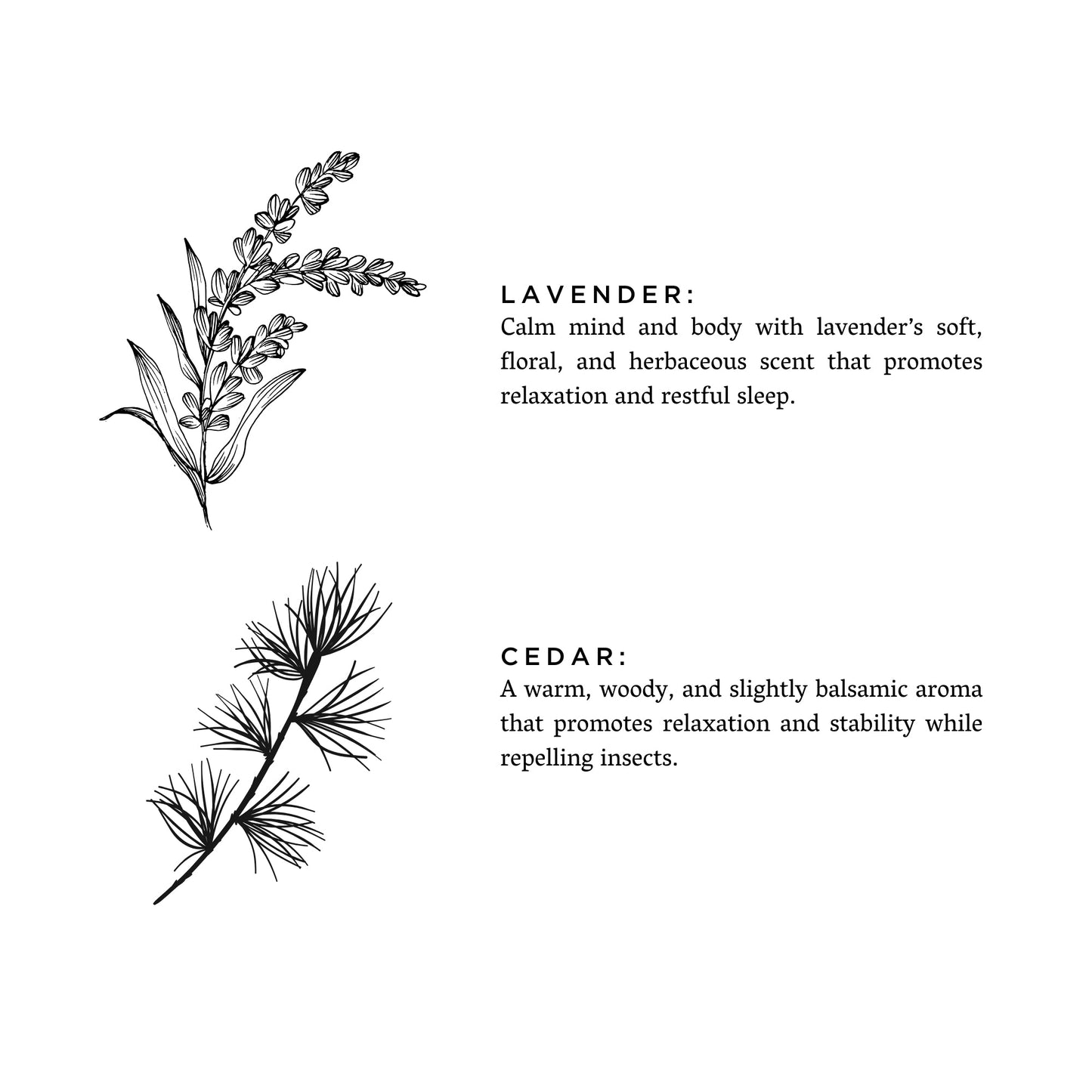 Lavender + Cedar - Signature Candle - Homeland Harvest