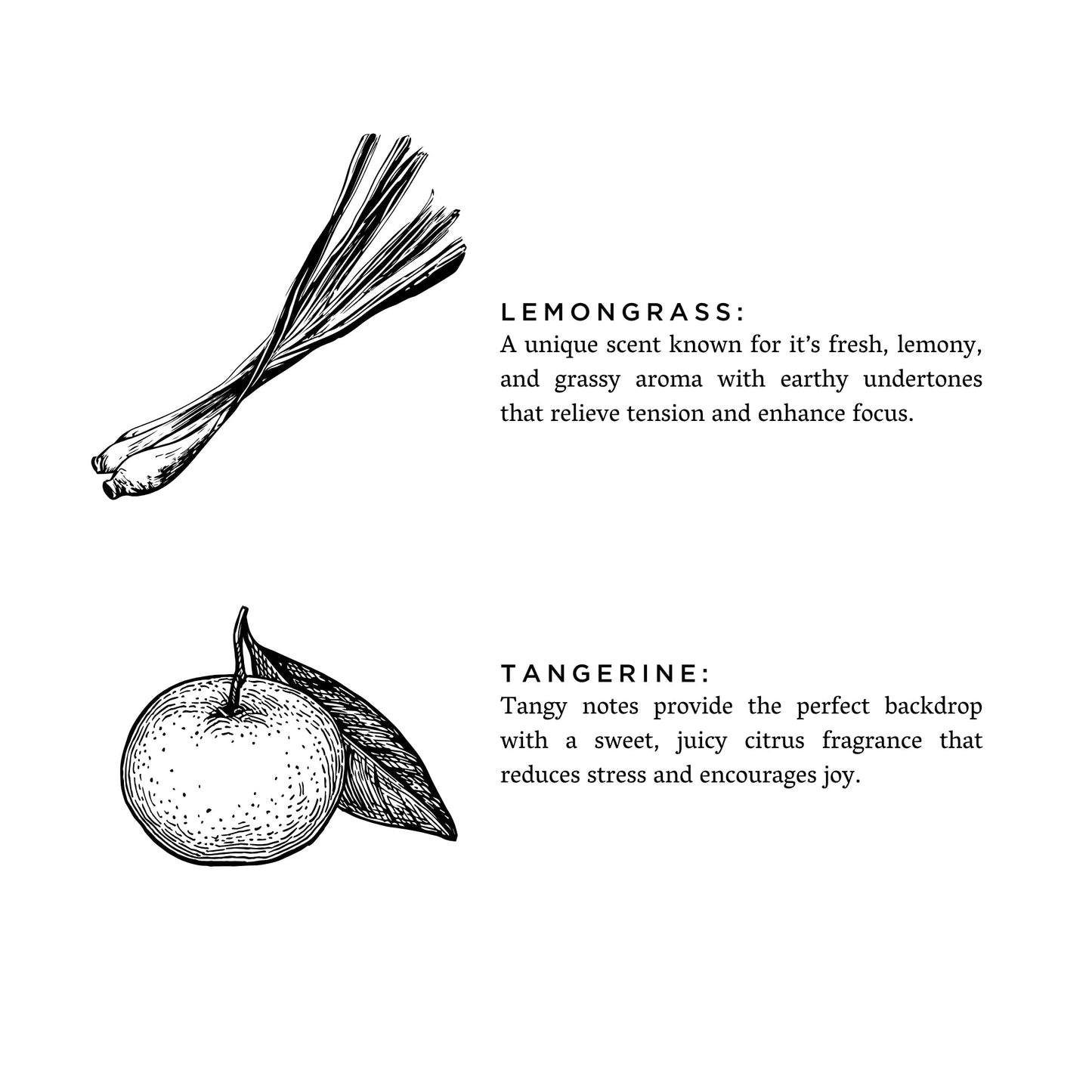 Lemongrass + Tangerine - Signature Candle - Homeland Harvest