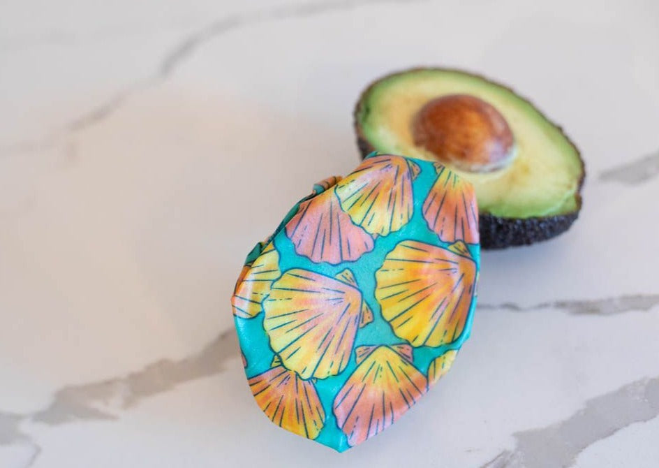 Beeswax Wrap Bulk Roll - Shells Print - Homeland Harvest