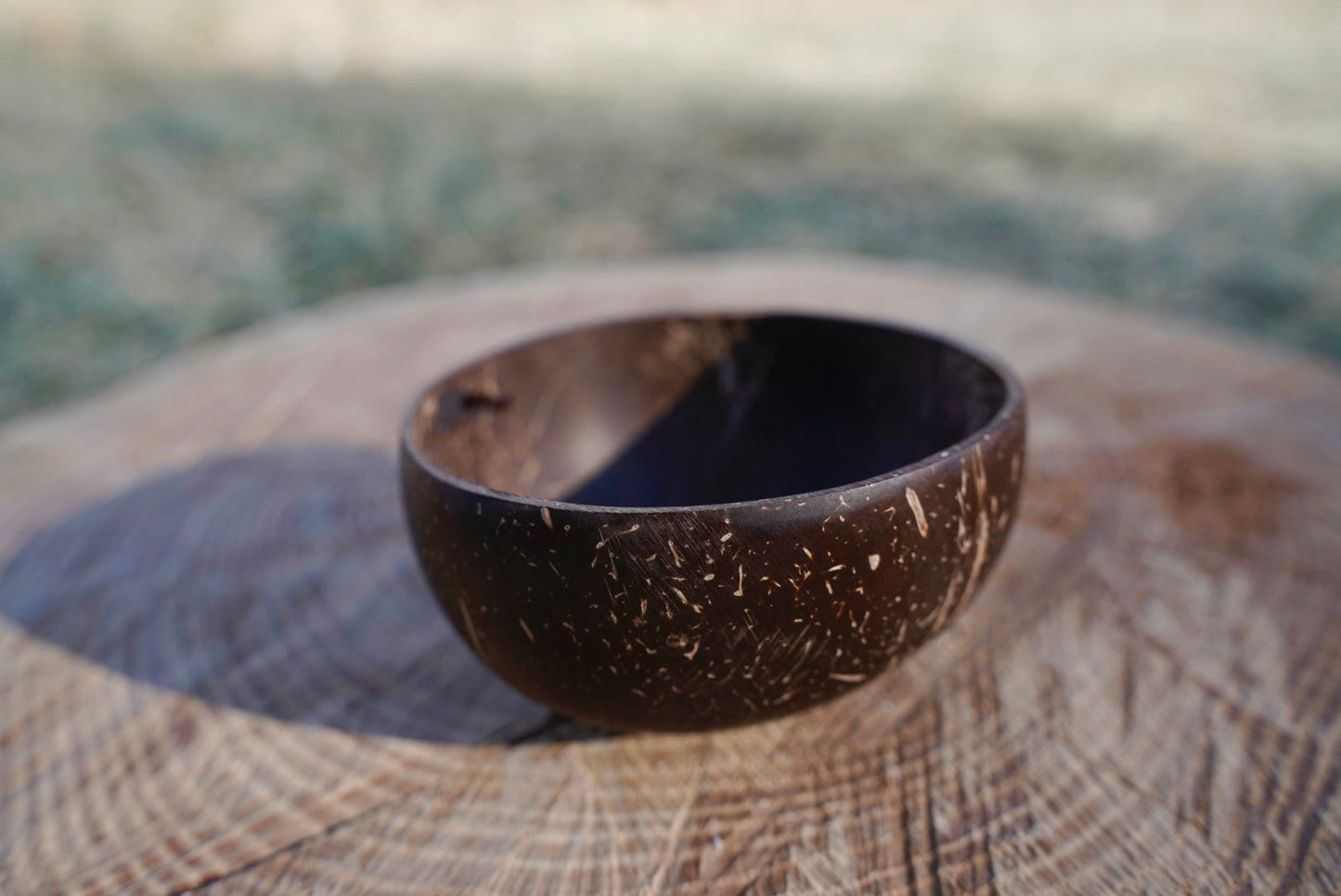Mini Coconut Bowls - Homeland Harvest