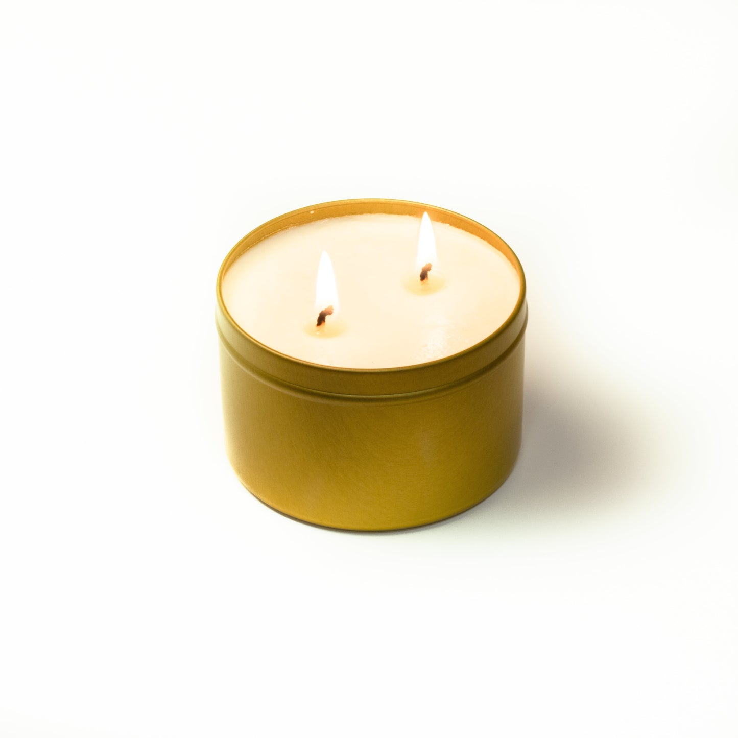 Not Today, Bugs - Mosquito Candle - Homeland Harvest