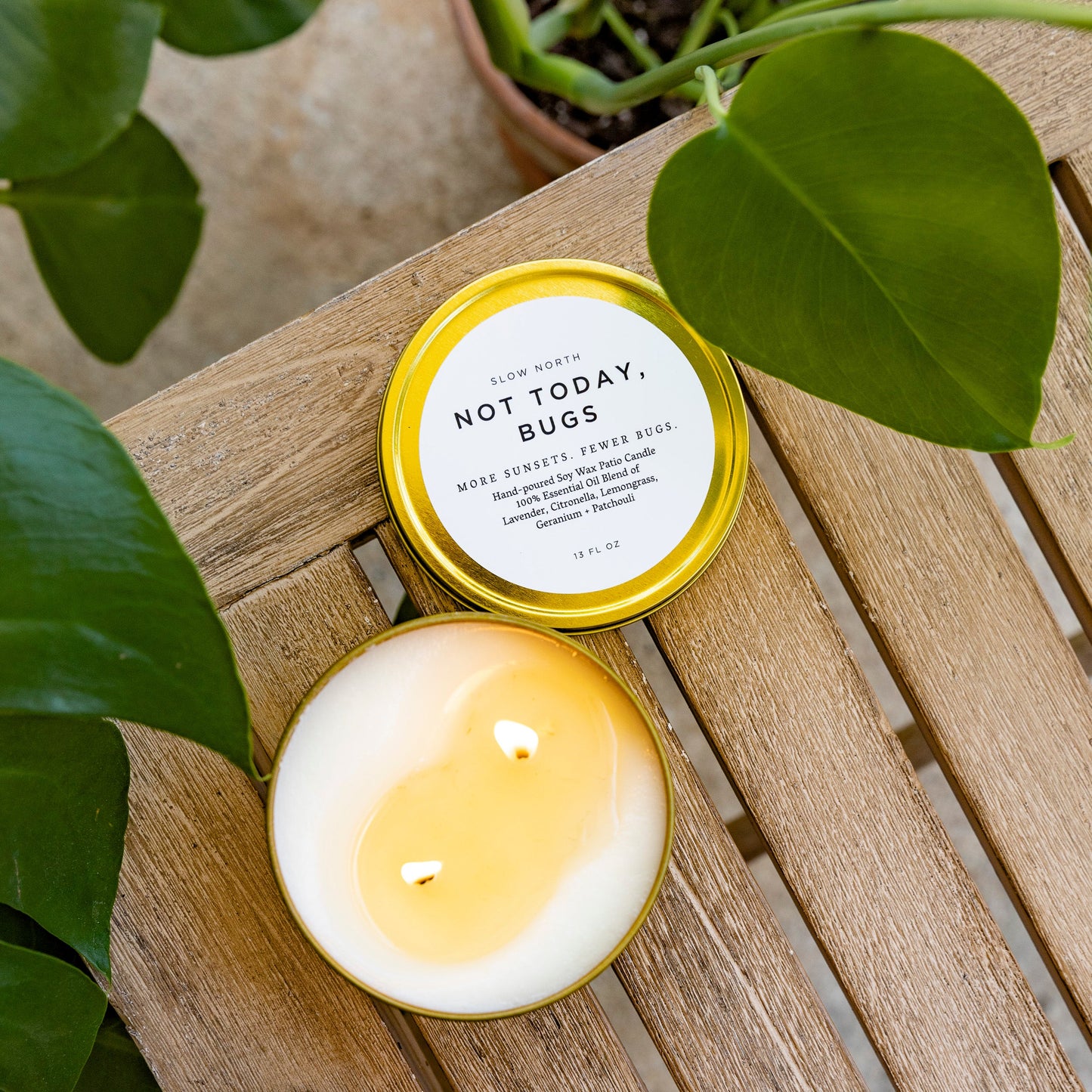 Not Today, Bugs - Mosquito Candle - Homeland Harvest