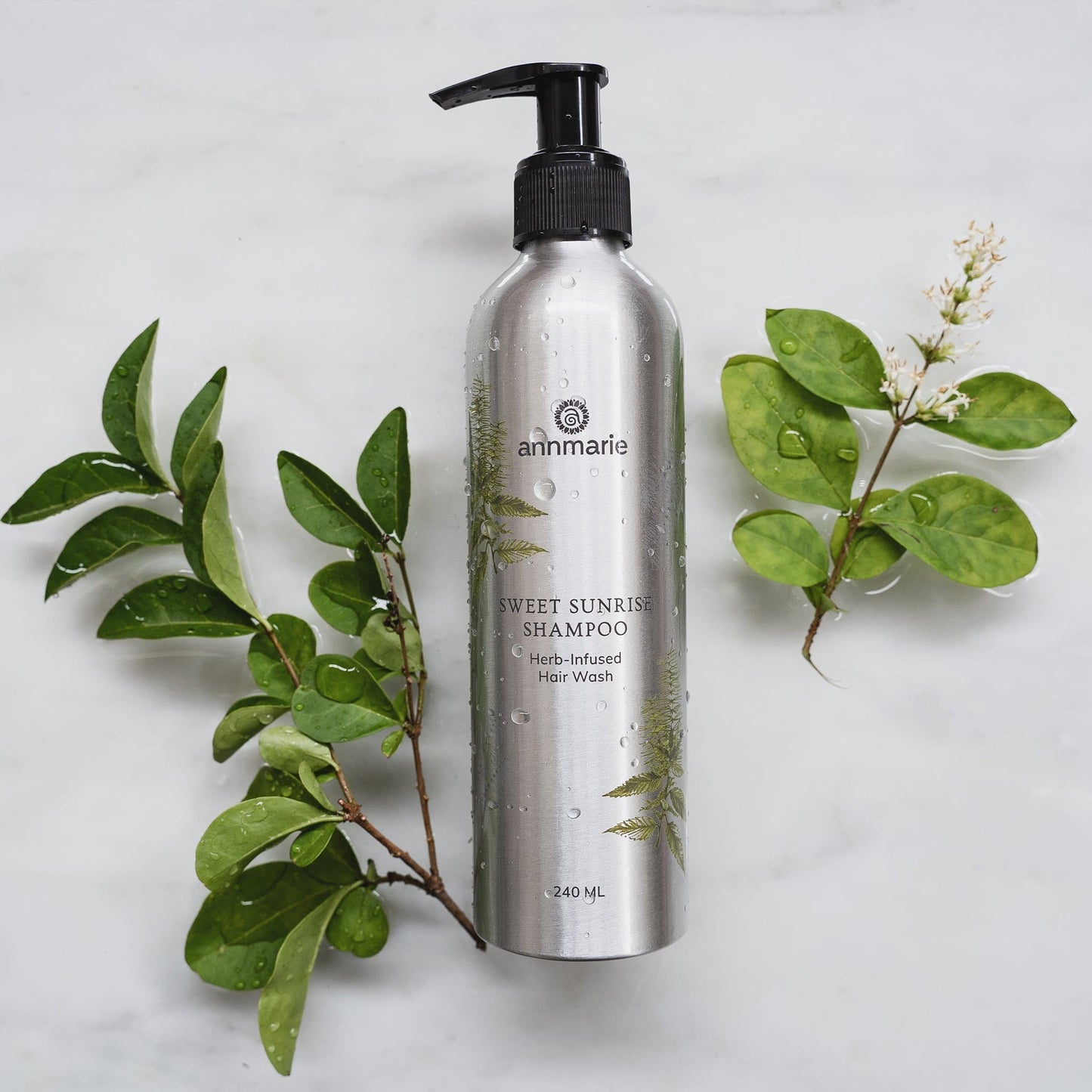 Sweet Sunrise Shampoo (240ml)- Collective - Homeland Harvest