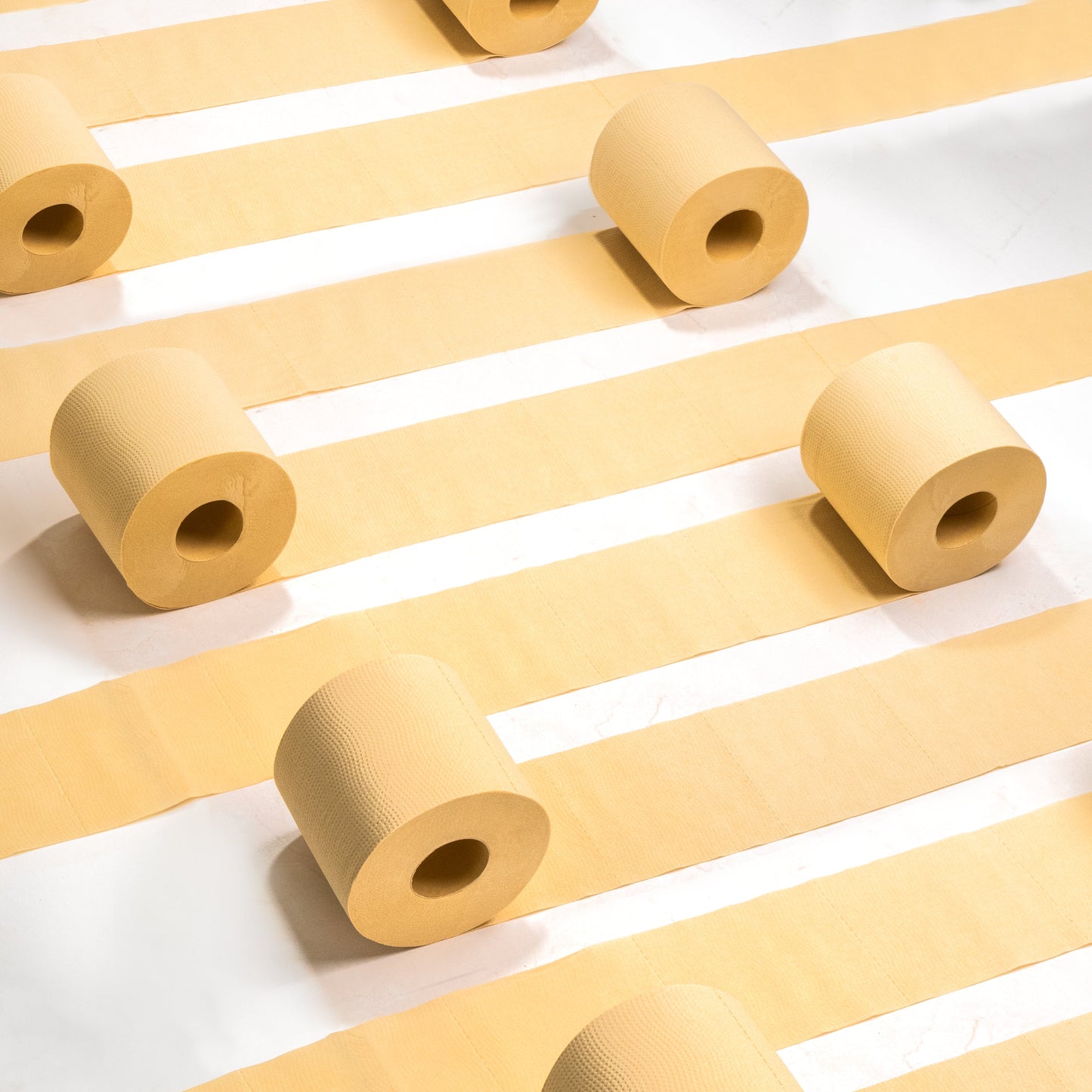 Panda Eco Paper | Bamboo Toilet Paper Sample - Homeland Harvest