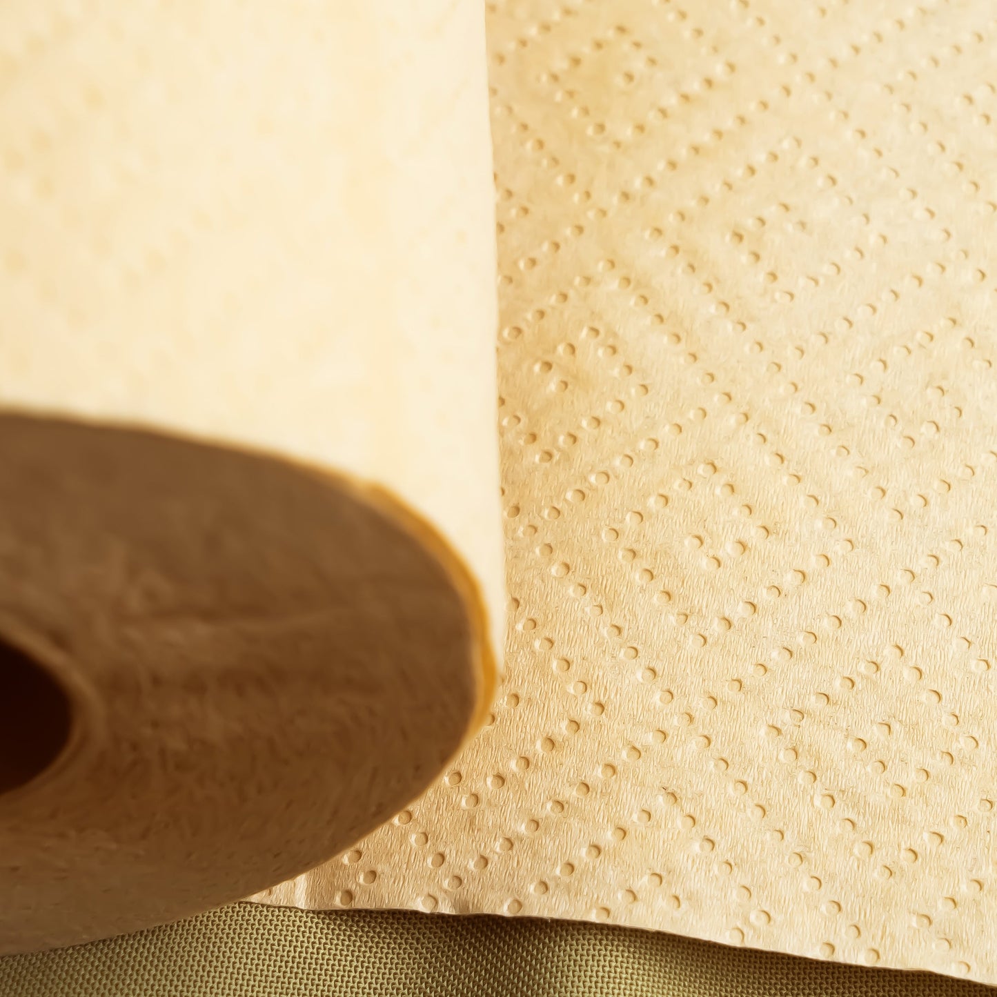 Panda Eco Paper | Bamboo Paper Towels - Homeland Harvest
