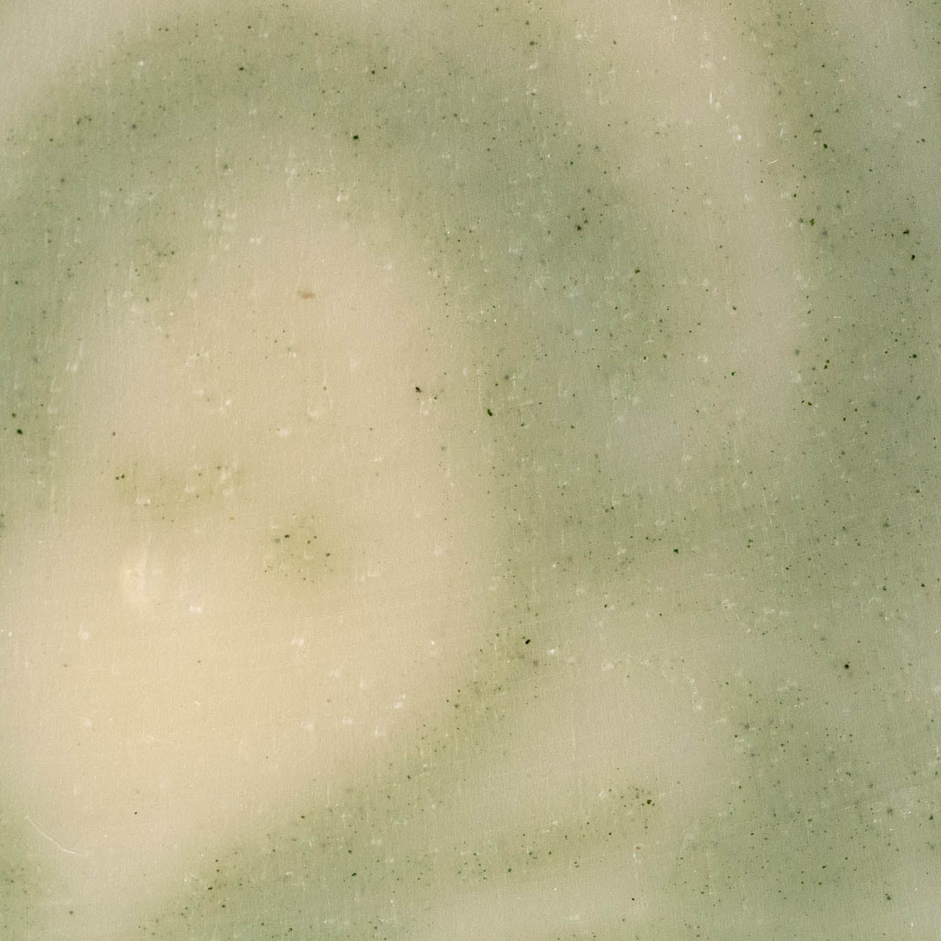 Bar Soap | Peppermint Tea Tree - Homeland Harvest