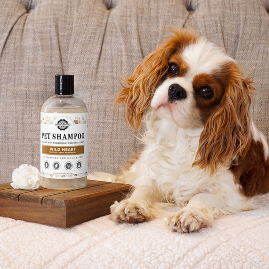 Pet Shampoo | Soothing & Deodorizing | Unscented - Homeland Harvest