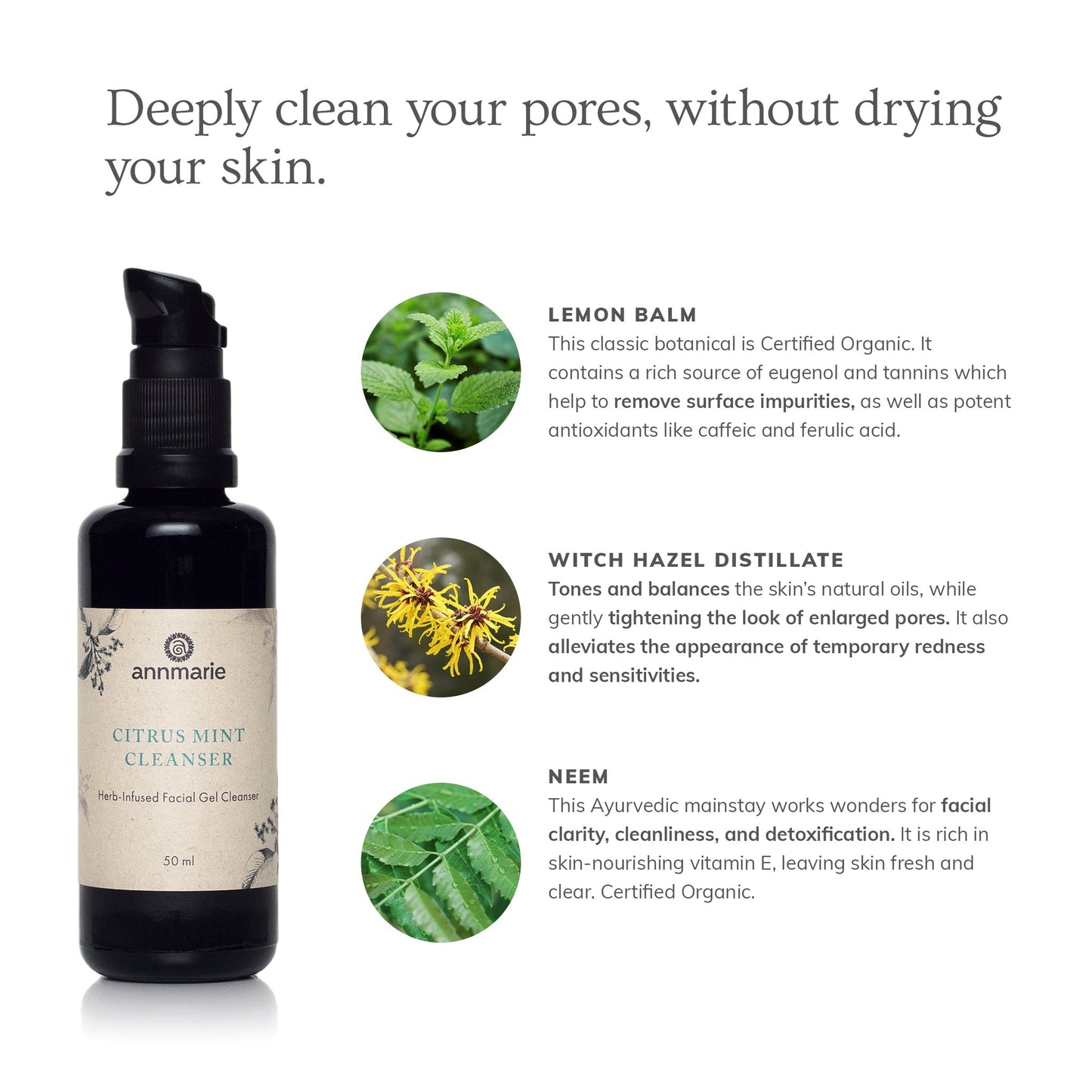 Citrus Mint Cleanser (50ml)- Collective - Homeland Harvest