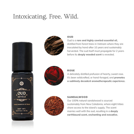 Oud Révélé (10ml)- Collective - Homeland Harvest