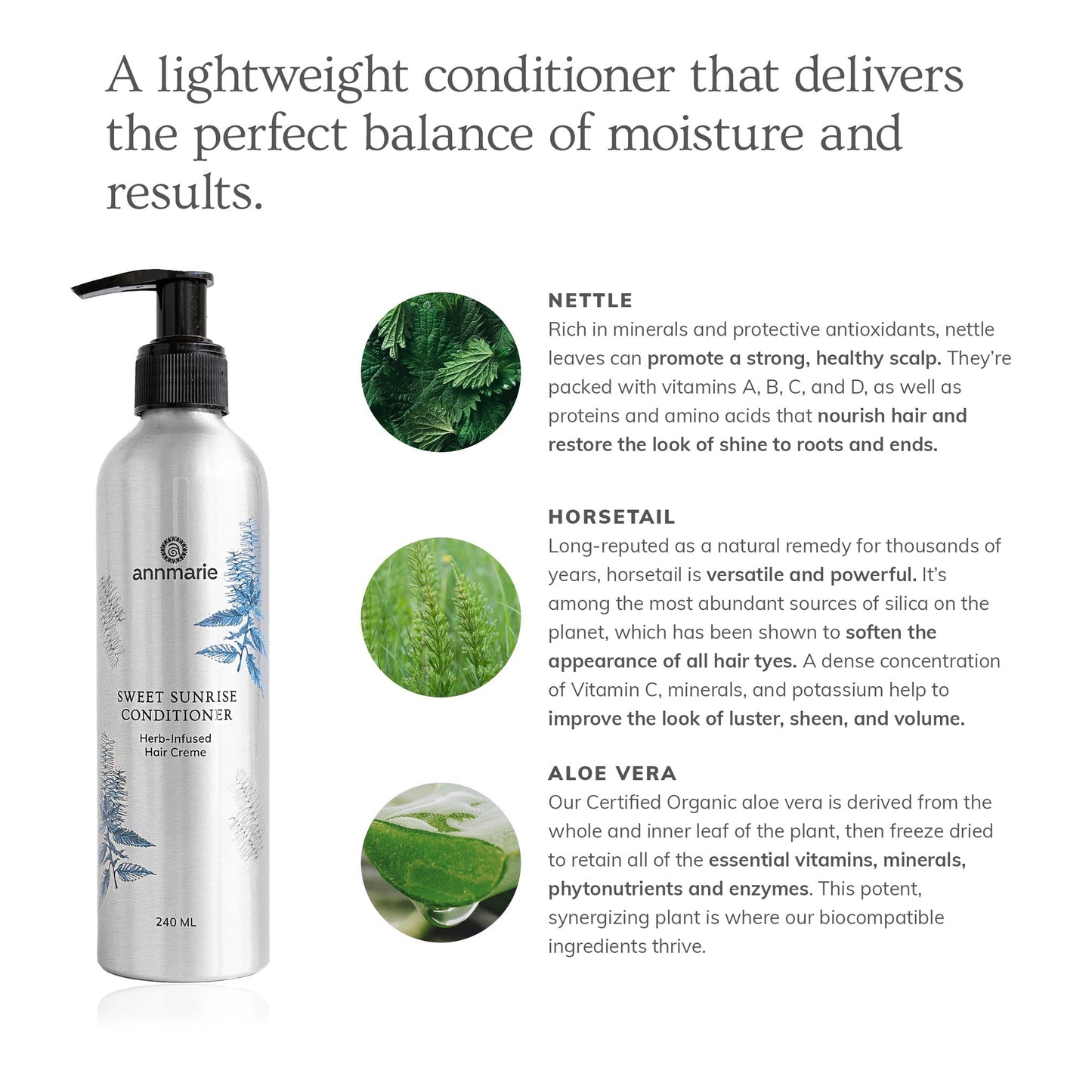 Sweet Sunrise Conditioner (240ml)- Collective - Homeland Harvest