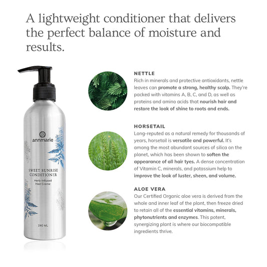 Sweet Sunrise Conditioner (240ml)- Collective - Homeland Harvest