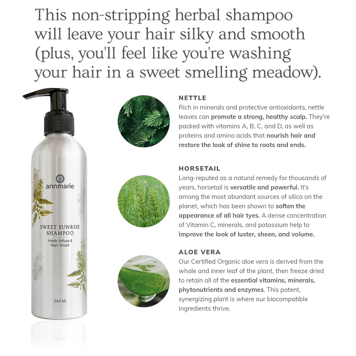Sweet Sunrise Shampoo (240ml)- Collective - Homeland Harvest