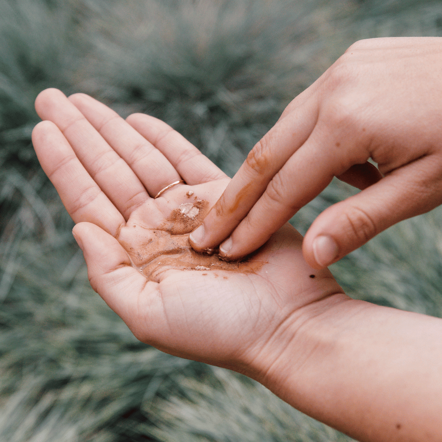 Purifying Mud Mask (50ml)- Collective - Homeland Harvest