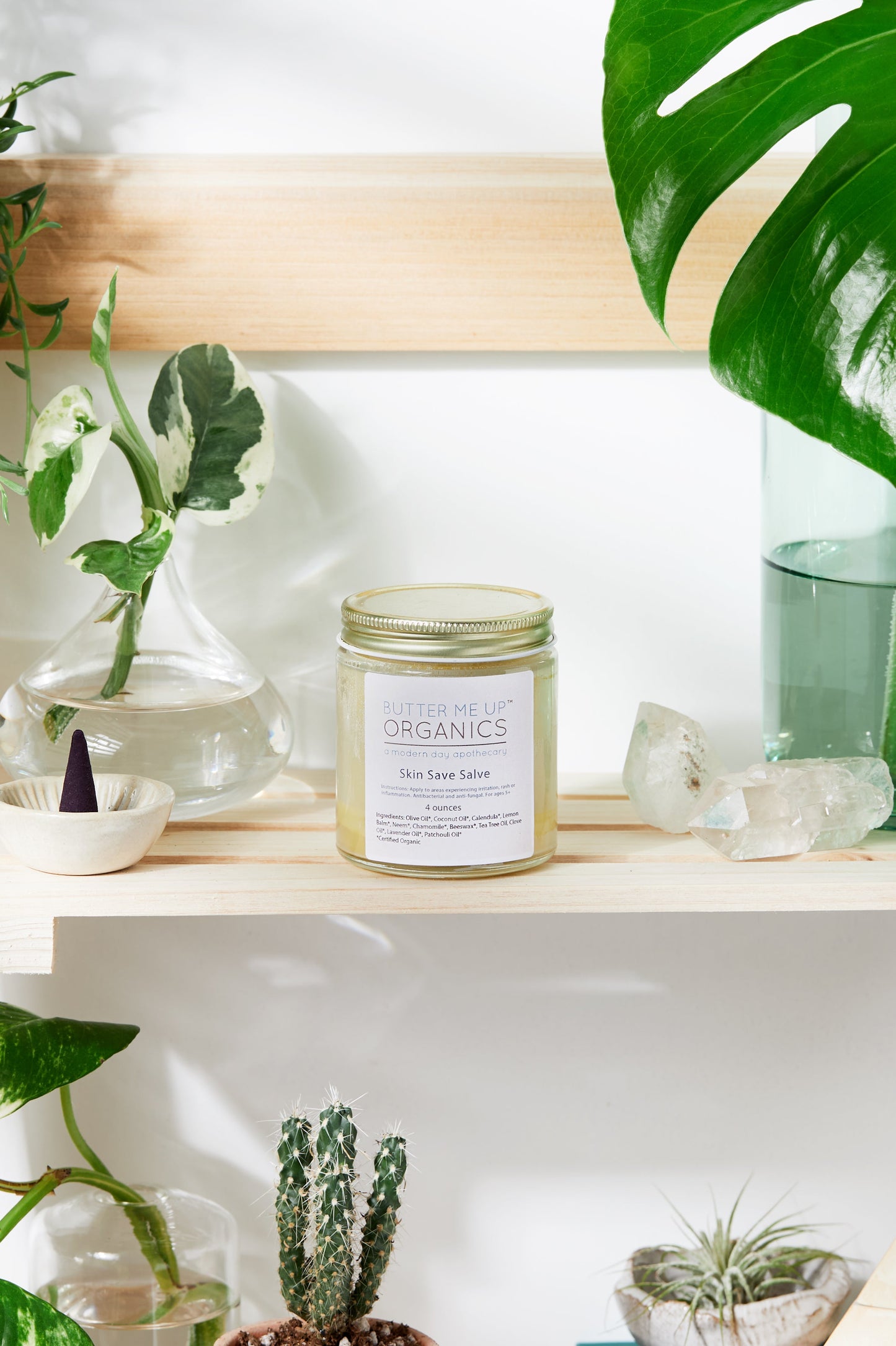 Skin Save Salve / Organic / Herbal Fungal Salve / Anti Fungal / Antibacterial - Homeland Harvest