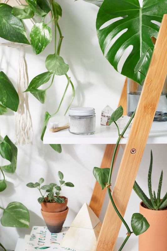 Tooth Powder / Toothpaste / Organic Tooth Powder / Organic Tooth Paste/ Organic Toothpaste / Clay Tooth Paste / Remineralizing Tooth Powder - Homeland Harvest