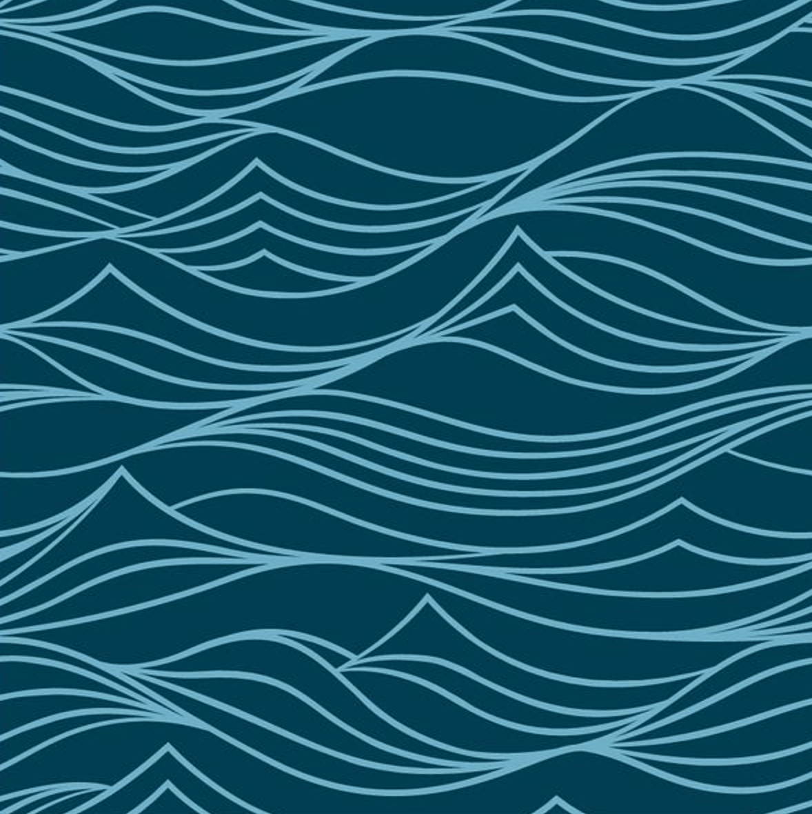 Small Reusable Cloth Furoshiki Gift Wrap | Whales & Waves - Homeland Harvest