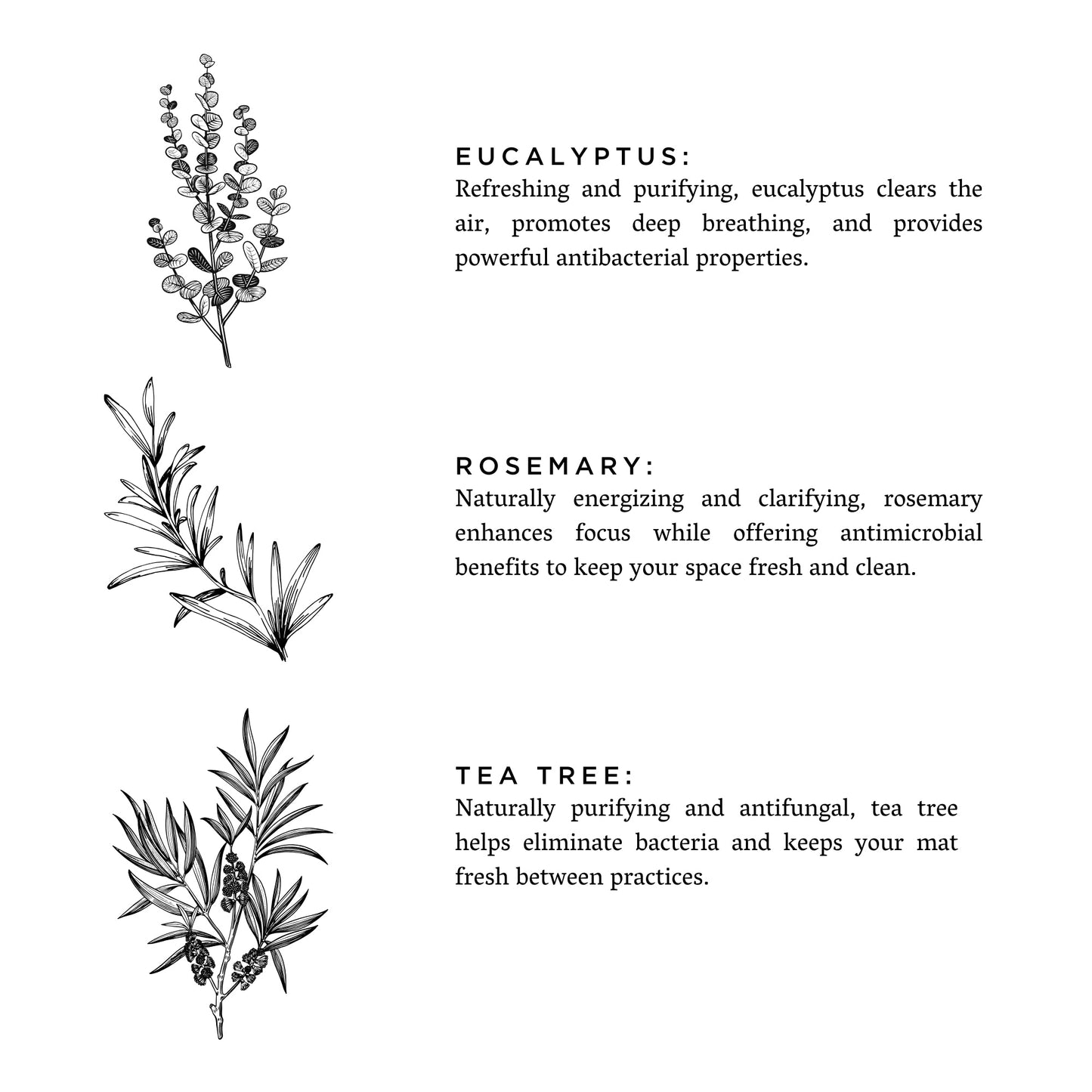 Yoga Mat Spray - Eucalyptus + Rosemary - Homeland Harvest