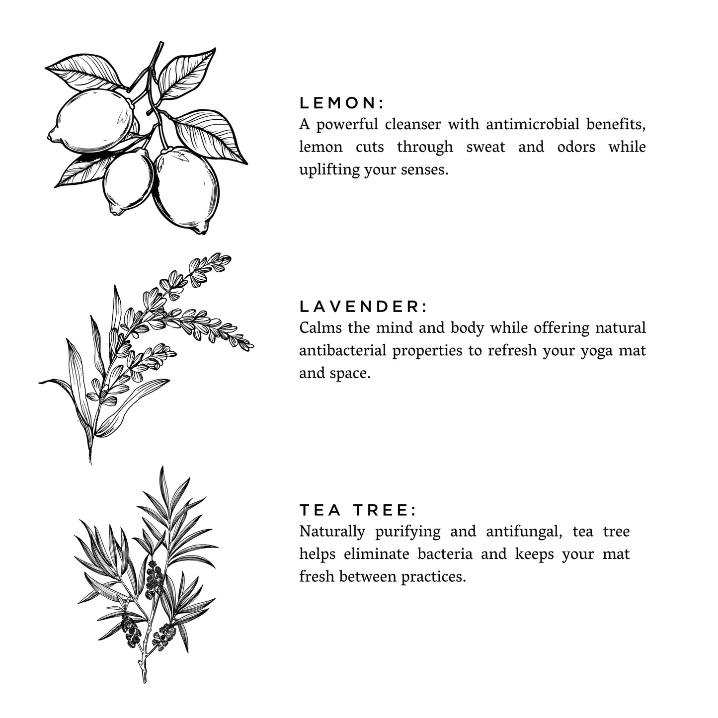 Yoga Mat Spray - Lavender + Lemon - Homeland Harvest