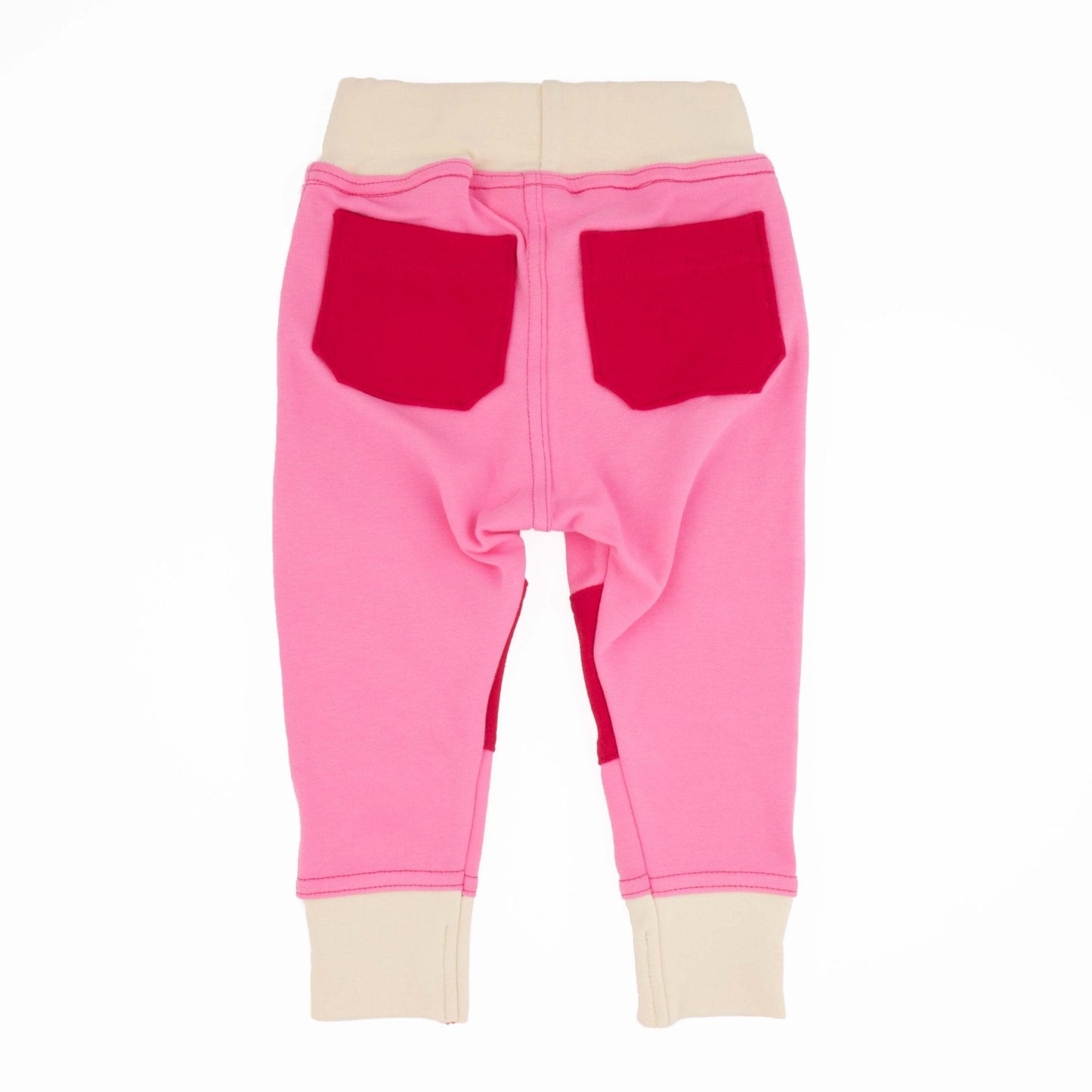 Adult Colorblock Joggers - Homeland Harvest