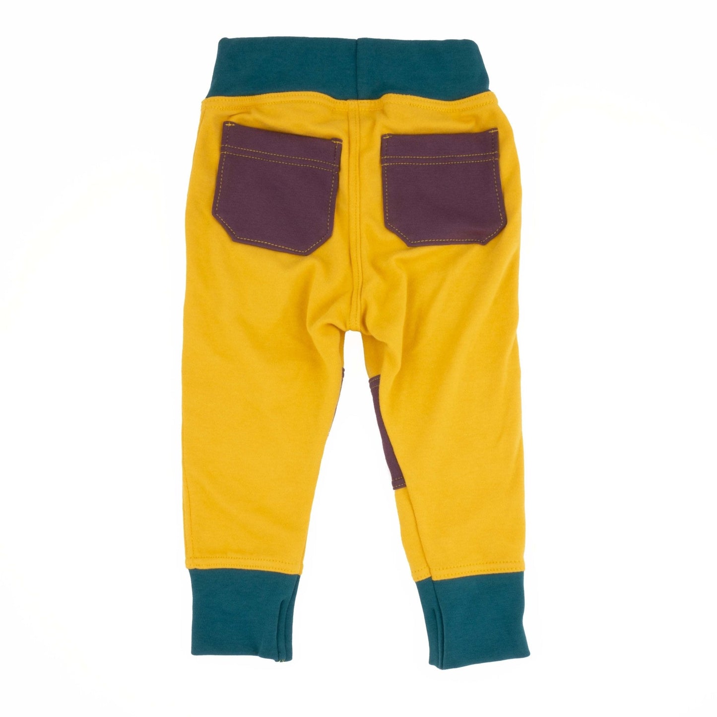 Adult Colorblock Joggers - Homeland Harvest