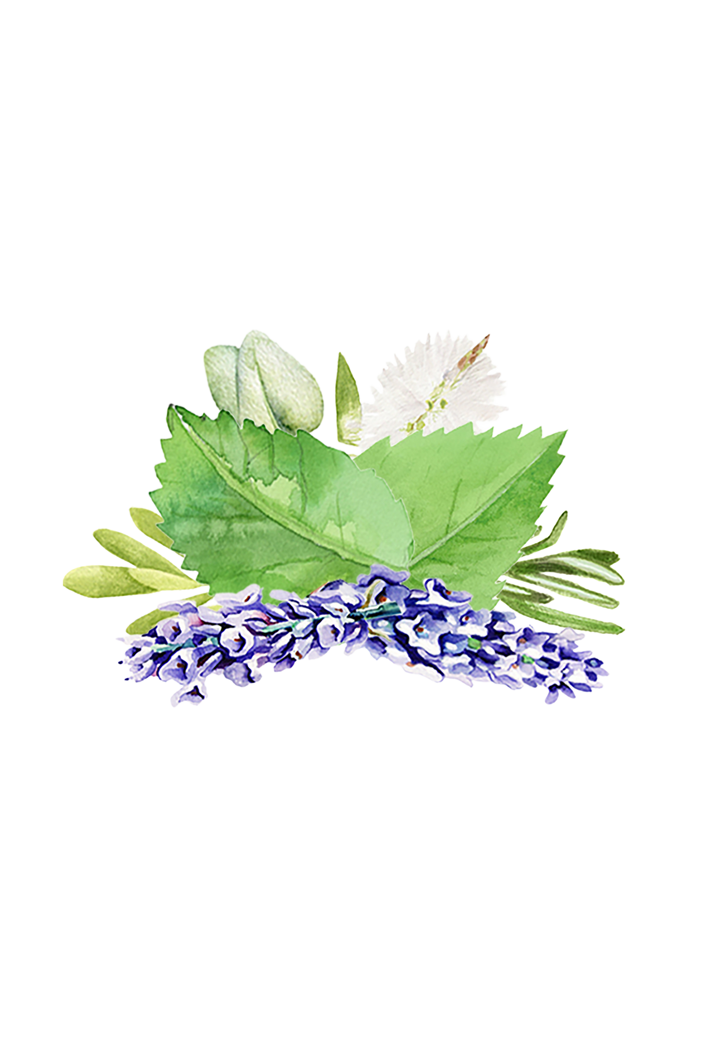Room Spray | Aromatherapy Blend - Homeland Harvest