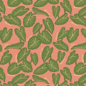 Kalo Kitchen Towel Set of 2 100% Cotton - Homeland Harvest