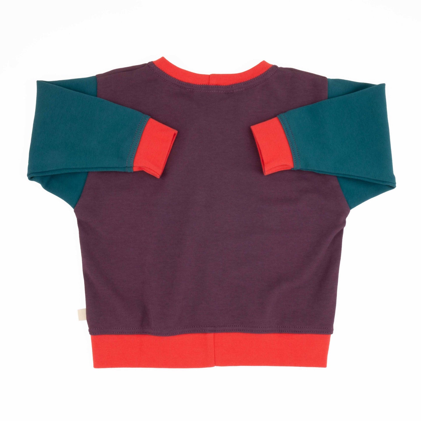 Baby Colorblock Sweatshirt - Homeland Harvest