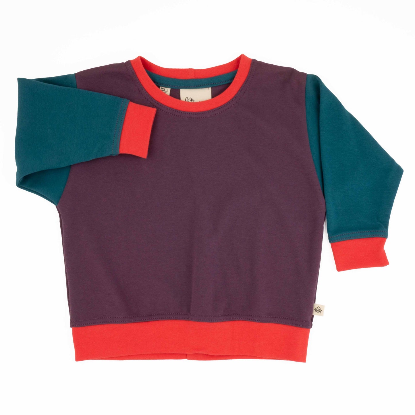 Baby Colorblock Sweatshirt - Homeland Harvest