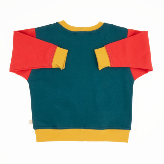 Baby Colorblock Sweatshirt - Homeland Harvest