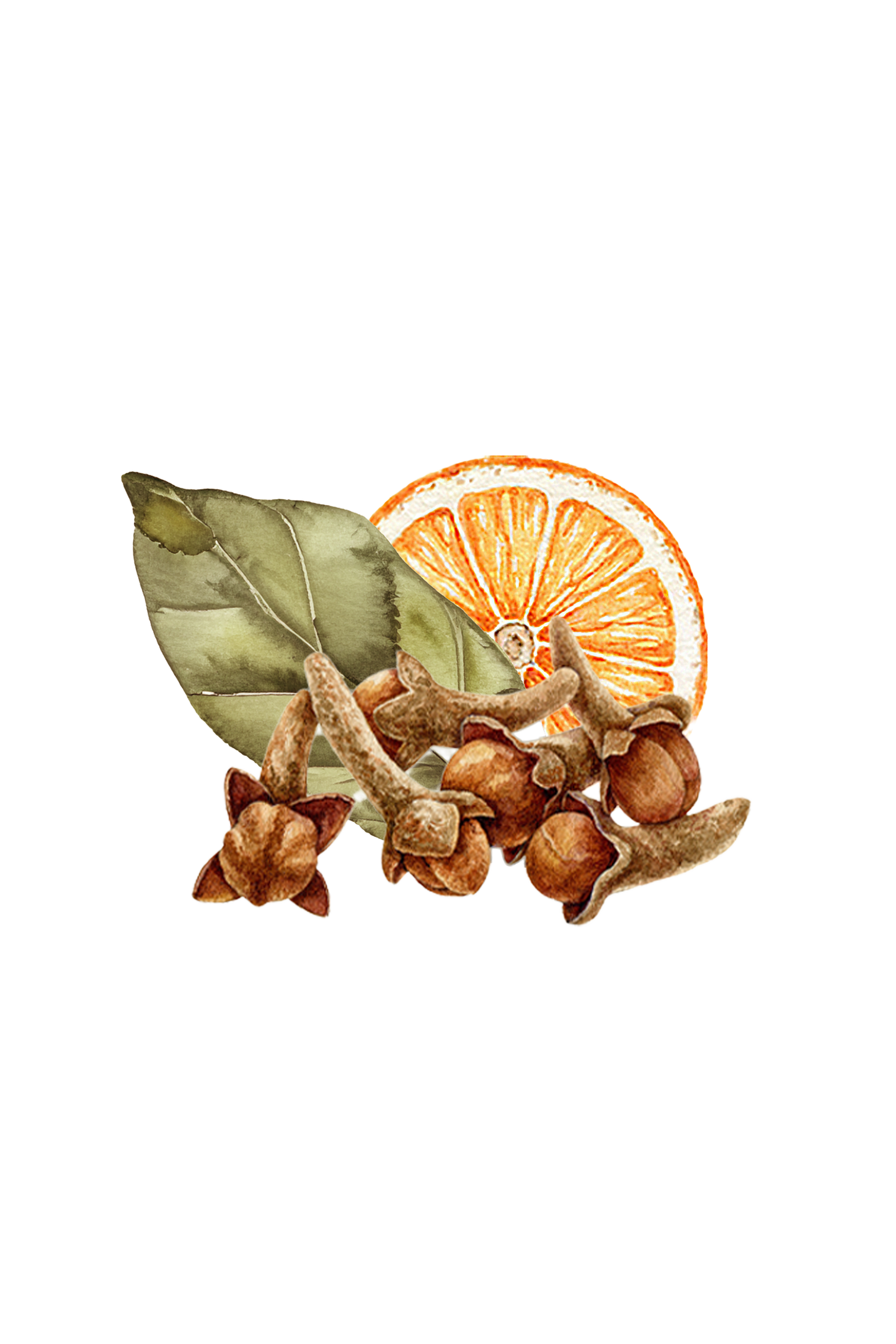 Bay Spice Essential Oil Blend - Homeland Harvest