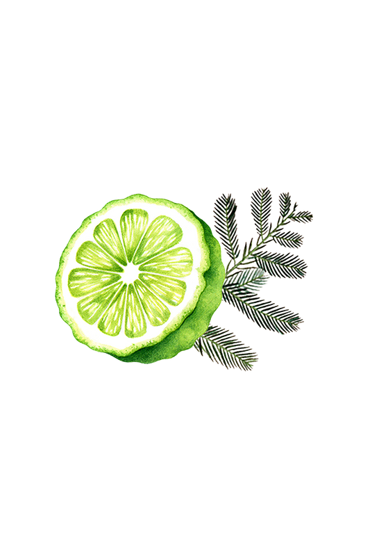 Bergamot & Cypress Essential Oil Blend - Homeland Harvest