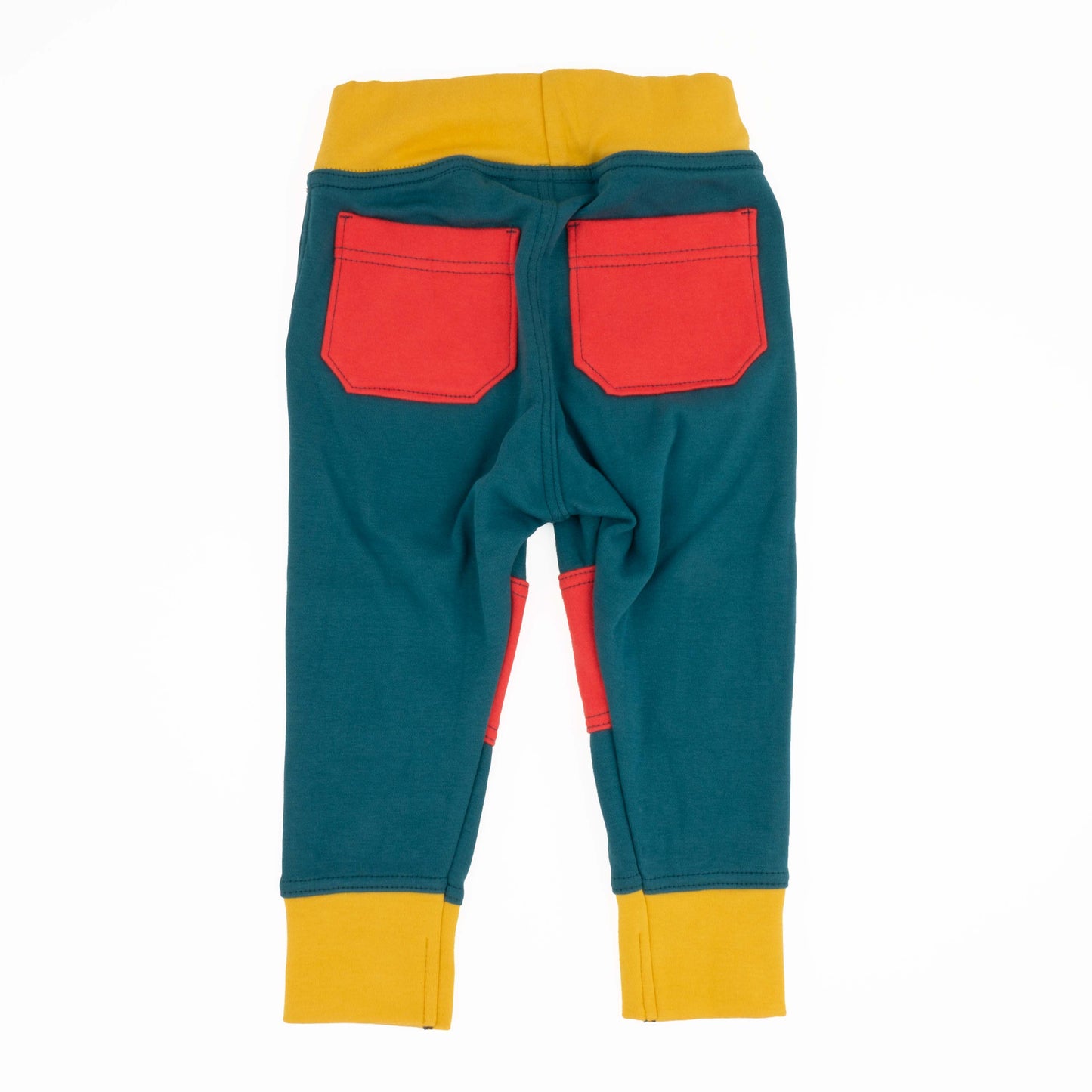 Big Kid Colorblock Joggers - Homeland Harvest