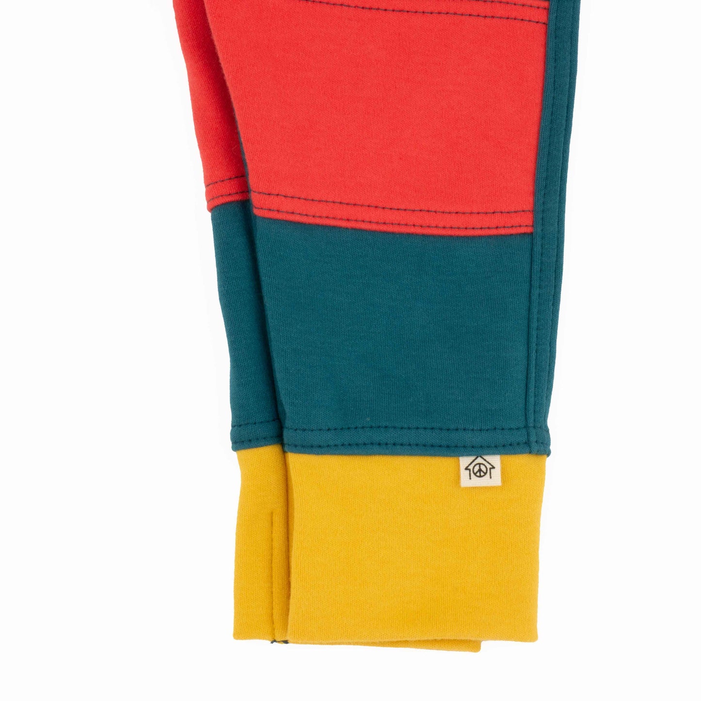 Big Kid Colorblock Joggers - Homeland Harvest
