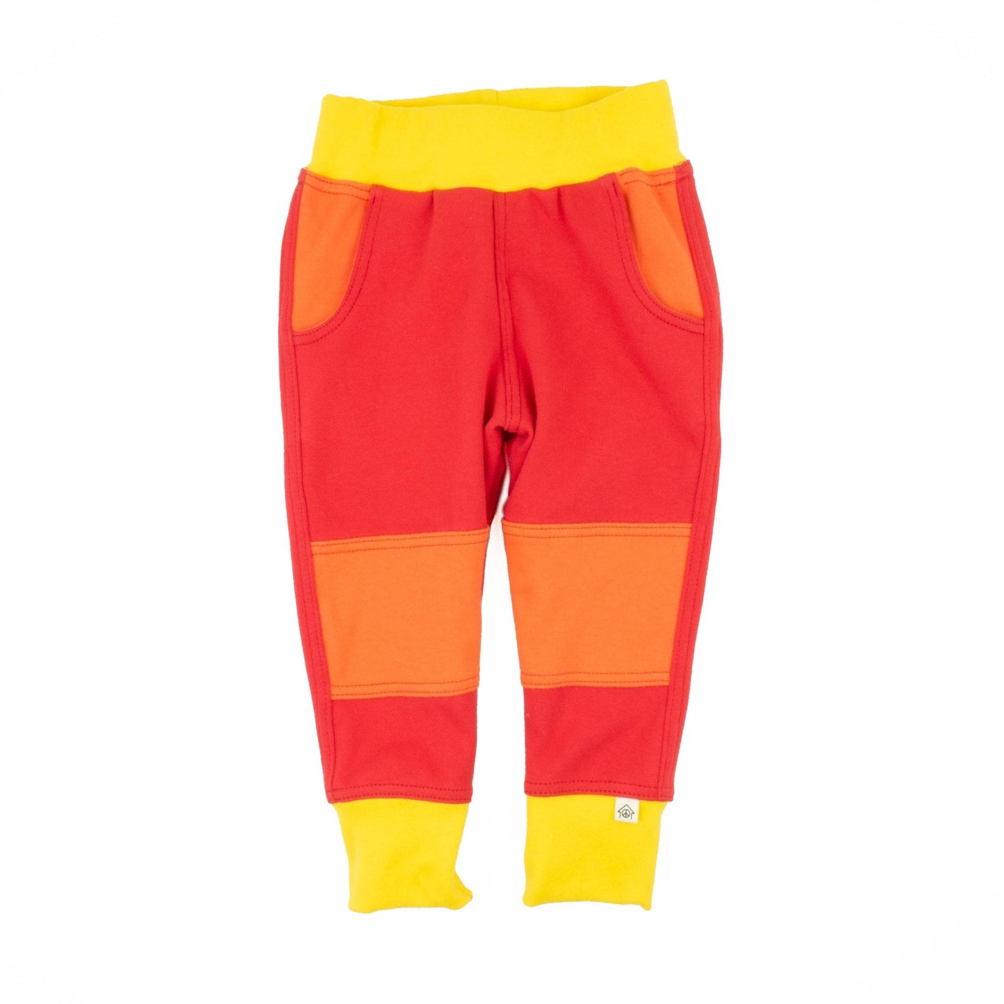 Big Kid Colorblock Joggers - Homeland Harvest