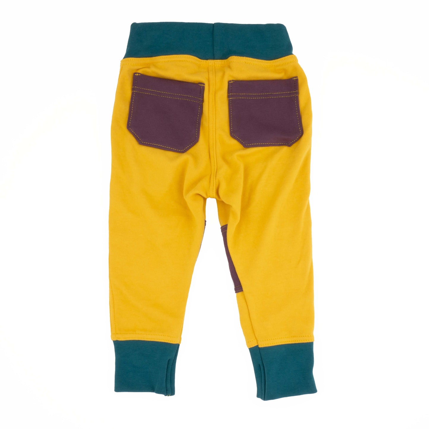 Big Kid Colorblock Joggers - Homeland Harvest