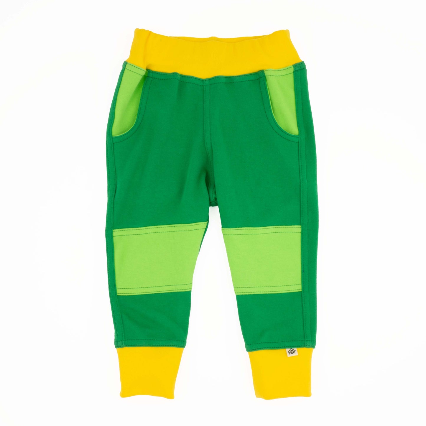 Big Kid Colorblock Joggers - Homeland Harvest