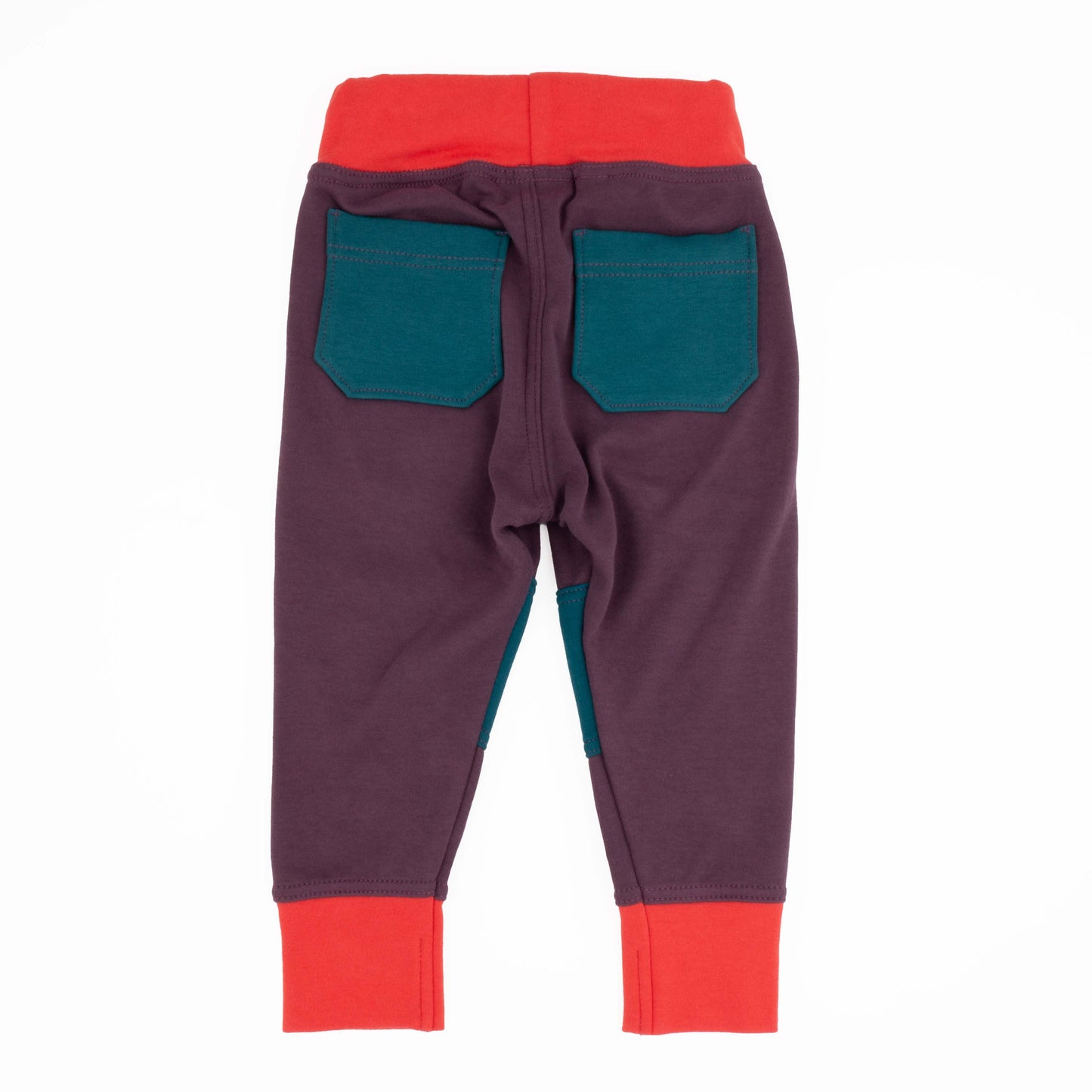 Big Kid Colorblock Joggers - Homeland Harvest
