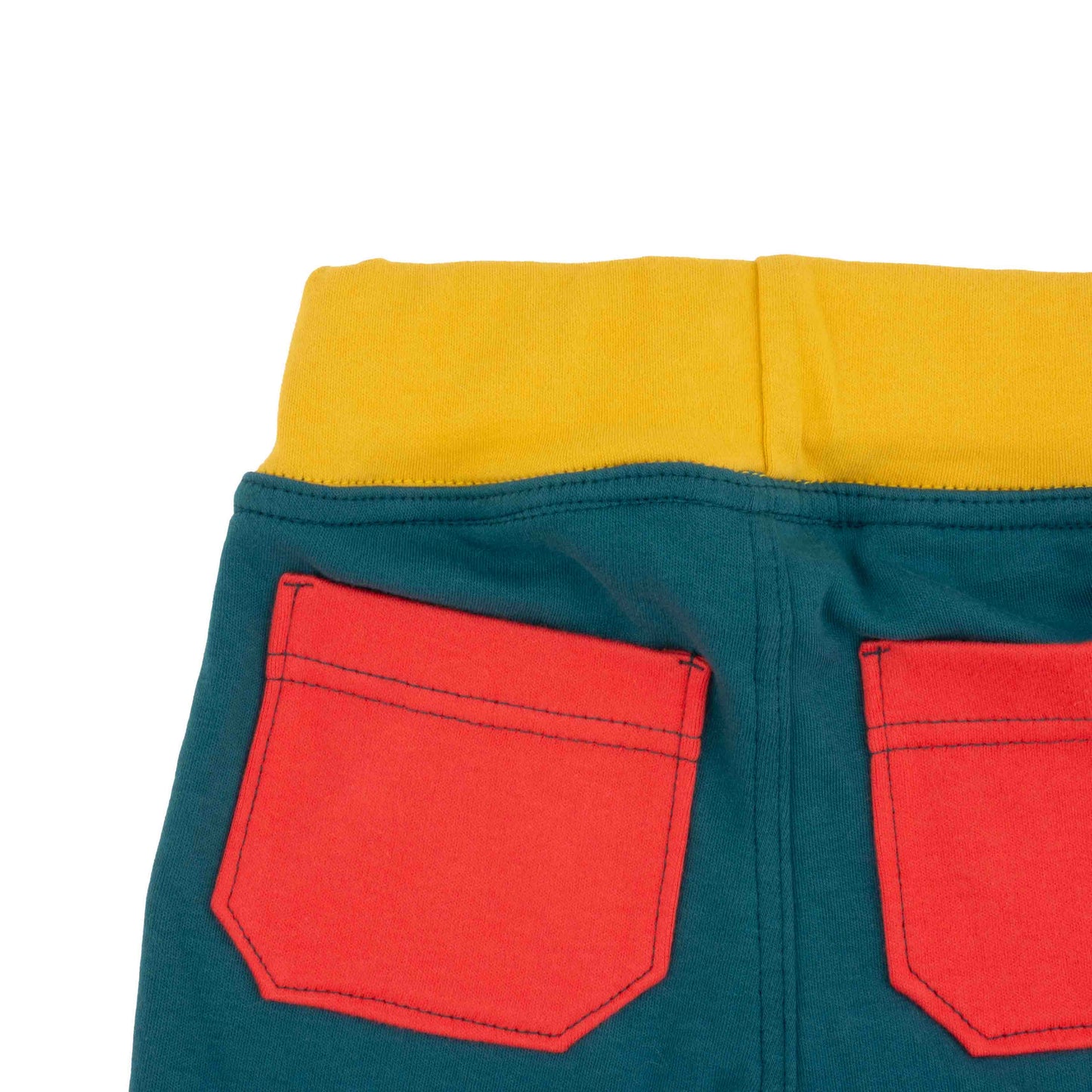 Big Kid Colorblock Joggers - Homeland Harvest